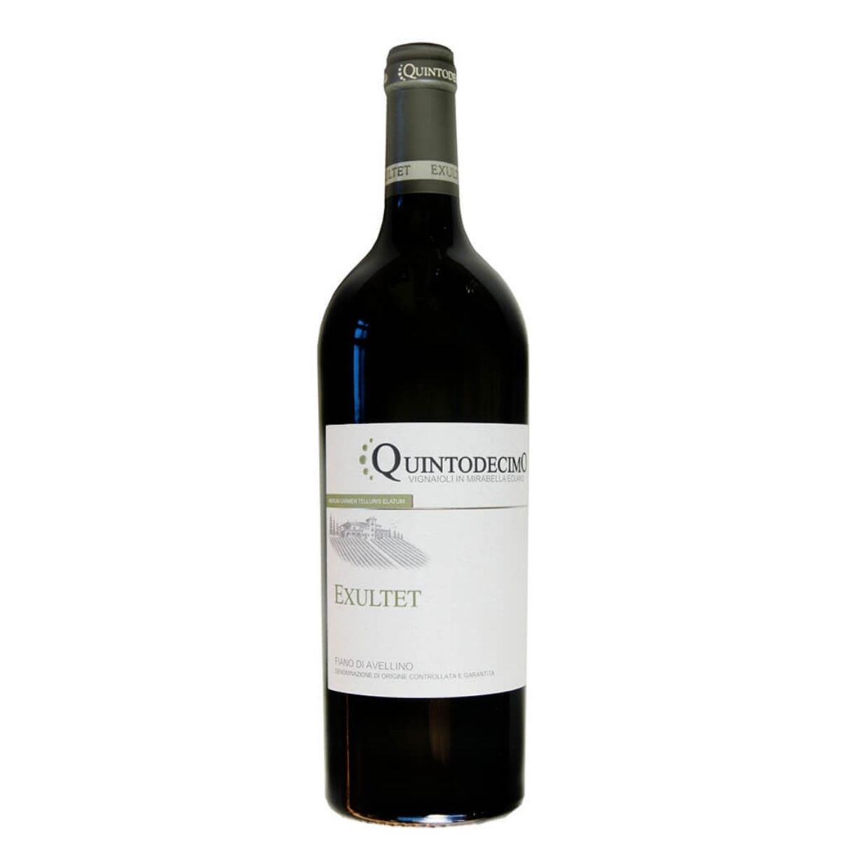 fiano 1