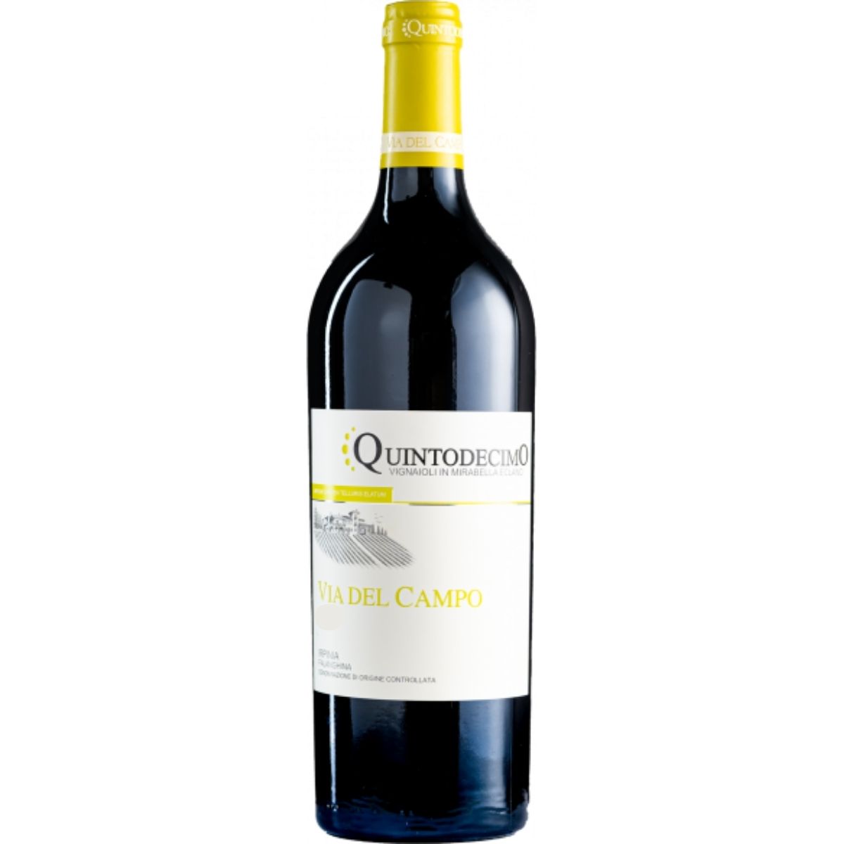quintodecimofalanghina