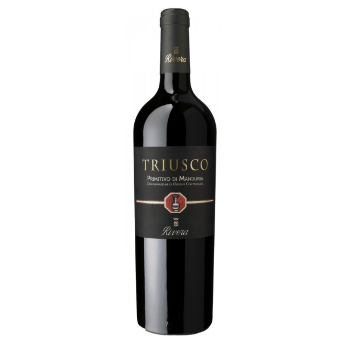 Progetto senza titolo - 2023-10-19T134407.976